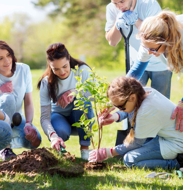 Inclusive NDIS activities promoting community involvement